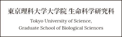 東京理科大学大学院 生命科学研究科
